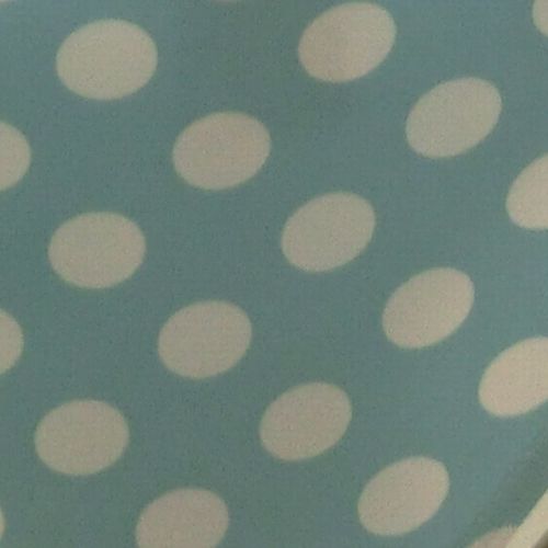 ブルードット&ストライプのビキニ