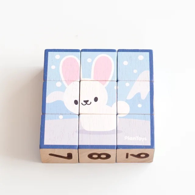 PLAN TOYS パズルキューブⅡ